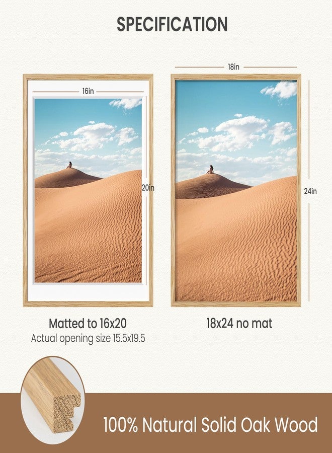 دريملاند إطار صور دريم لاند مقاس 18×24 بوصة مع حافة داخلية لمقاس 16×20 بوصة، مصنوع من خشب البلوط الطبيعي الأمريكي مع زجاج مقوى حقيقي، إطار خشبي مقاس 18×24 بوصة لعرض مطبوعات فنية أو ديكور منزلي - Image 3